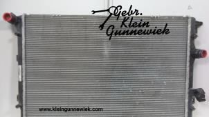 Usados Radiador Volkswagen Tiguan Precio € 50,00 Norma de margen ofrecido por Gebr.Klein Gunnewiek Ho.BV