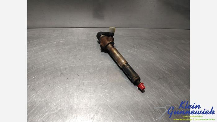 Gebrauchte Einspritzdüse (Diesel) Renault Grand Scenic Preis € 32,00 Margenregelung angeboten von Klein Gunnewiek Autodemontage & Motorentechniek