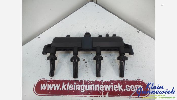 Usagé Allumage (complet) Peugeot 206 Prix € 75,00 Règlement à la marge proposé par Klein Gunnewiek Autodemontage & Motorentechniek