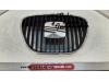Grille from a Seat Ibiza 2007