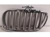 Grille from a BMW X3 2007