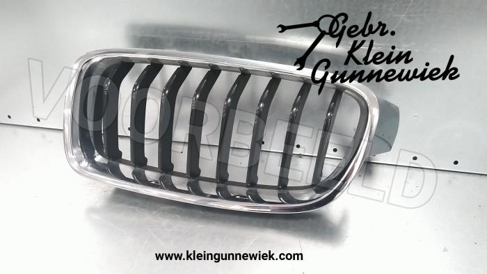 Grille from a BMW 3-Serie 2016