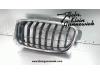 Grille from a BMW 3-Serie 2016