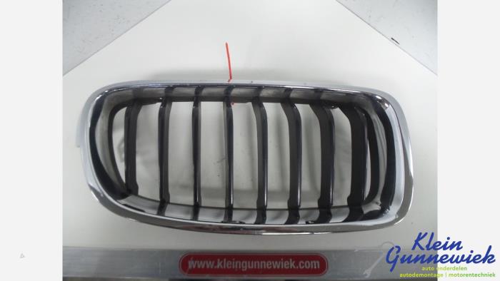 Używane Grill BMW 3-Serie Cena € 25,00 Procedura marży oferowane przez Klein Gunnewiek Autodemontage & Motorentechniek