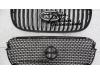 Grille from a Kia Picanto 2005