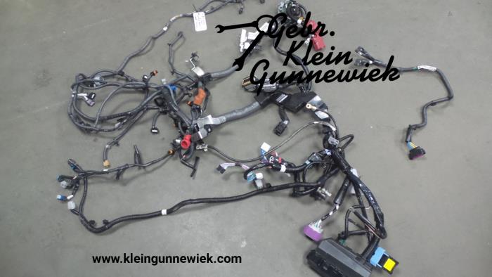 Wiring harness from a Nissan X-Trail 2019
