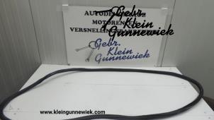 Gebrauchte Türgummi 4-türig rechts hinten Volkswagen Passat Preis auf Anfrage angeboten von Gebr.Klein Gunnewiek Ho.BV
