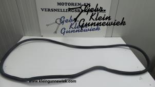 Usagé Joint caoutchouc portière 4portes avant droite Volkswagen Passat Prix sur demande proposé par Gebr.Klein Gunnewiek Ho.BV