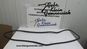 Usados Goma de puerta de 2 puertas izquierda Volkswagen Polo Precio de solicitud ofrecido por Gebr.Klein Gunnewiek Ho.BV