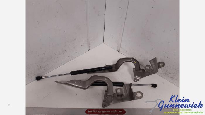 Hood hinges