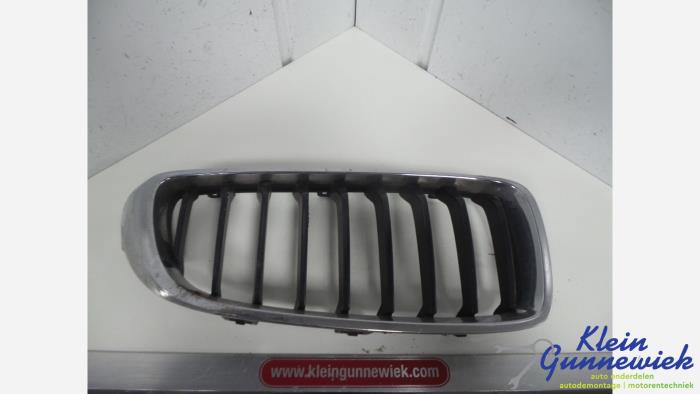 Używane Grill BMW 4-Serie Cena € 30,00 Procedura marży oferowane przez Klein Gunnewiek Autodemontage & Motorentechniek