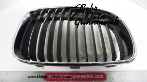 Used Grille BMW 1-Serie Price on request offered by Gebr.Klein Gunnewiek Ho.BV