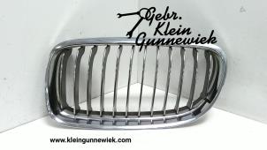 Used Grille BMW 3-Serie Price € 40,00 Margin scheme offered by Gebr.Klein Gunnewiek Ho.BV