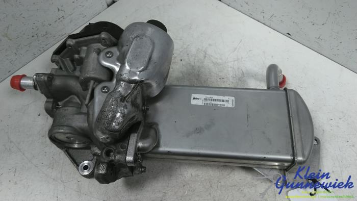 Usagé Valve RGE Volkswagen Amarok Prix € 85,00 Règlement à la marge proposé par Klein Gunnewiek Autodemontage & Motorentechniek