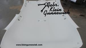 Gebrauchte Dachverkleidung Volkswagen Golf Preis € 135,00 Margenregelung angeboten von Gebr.Klein Gunnewiek Ho.BV