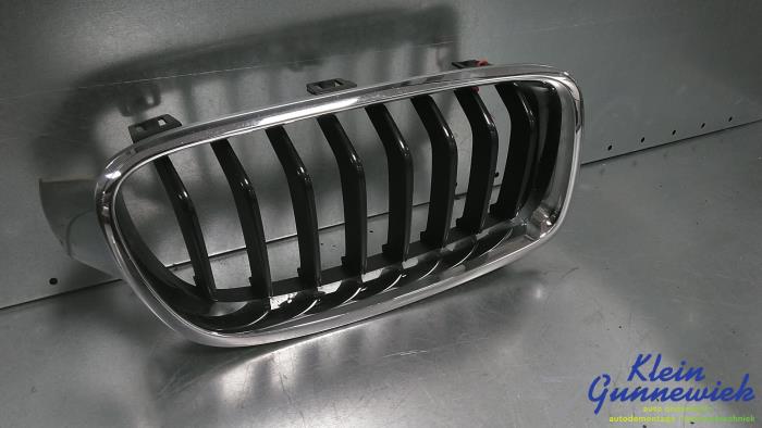 Używane Grill BMW 3-Serie Cena € 25,00 Procedura marży oferowane przez Klein Gunnewiek Autodemontage & Motorentechniek