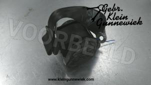 Usagé Ceinture arrière gauche Volkswagen Beetle Prix € 45,00 Règlement à la marge proposé par Gebr.Klein Gunnewiek Ho.BV