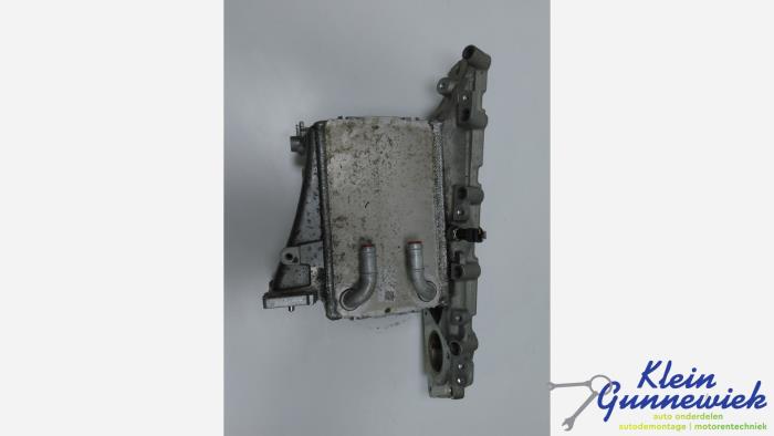 Gebrauchte Ansaugbrugge Volkswagen Golf Preis € 132,00 Margenregelung angeboten von Klein Gunnewiek Autodemontage & Motorentechniek