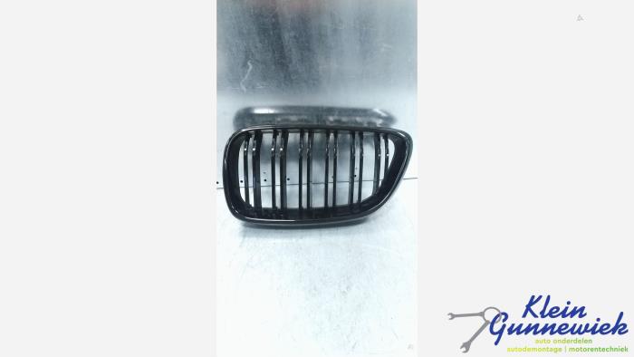 Begagnade Grill BMW 2-Serie Pris € 45,00 Marginaltabell erbjuds av Klein Gunnewiek Autodemontage & Motorentechniek