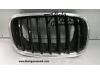 Grille from a BMW X5 2008