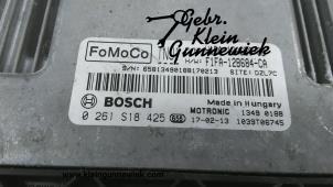 Usados Ordenadores de inyección Ford C-Max Precio € 150,00 Norma de margen ofrecido por Gebr.Klein Gunnewiek Ho.BV