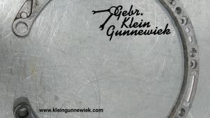 Gebrauchte Sonstige Volkswagen Golf Preis € 20,00 Margenregelung angeboten von Gebr.Klein Gunnewiek Ho.BV