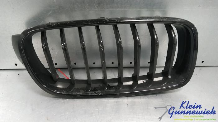 Używane Grill BMW 3-Serie Cena € 25,00 Procedura marży oferowane przez Klein Gunnewiek Autodemontage & Motorentechniek