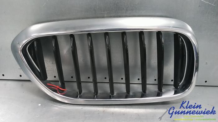 Używane Grill BMW 5-Serie Cena € 18,00 Procedura marży oferowane przez Klein Gunnewiek Autodemontage & Motorentechniek