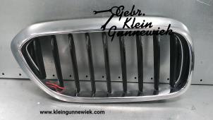 Used Grille BMW 5-Serie Price € 25,00 Margin scheme offered by Gebr.Klein Gunnewiek Ho.BV