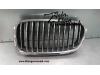 Grille from a BMW 5-Serie 2012