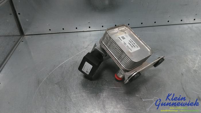 Gebrauchte Klima Teil (sonst.) Mercedes EQC Preis € 198,00 Margenregelung angeboten von Klein Gunnewiek Autodemontage & Motorentechniek