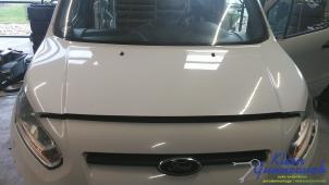Używane Maska Ford Transit Connect Cena € 165,00 Procedura marży oferowane przez Klein Gunnewiek Autodemontage & Motorentechniek