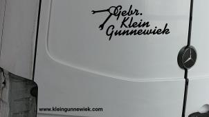 Używane Tylne drzwi samochodu dostawczego Mercedes Sprinter Cena € 195,00 Procedura marży oferowane przez Gebr.Klein Gunnewiek Ho.BV