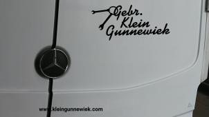 Używane Tylne drzwi samochodu dostawczego Mercedes Sprinter Cena € 195,00 Procedura marży oferowane przez Gebr.Klein Gunnewiek Ho.BV