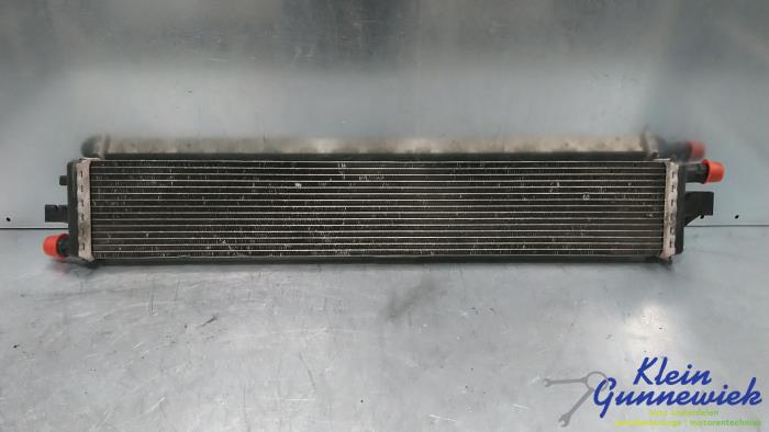 Gebrauchte Kühler Opel Movano Preis € 38,00 Margenregelung angeboten von Klein Gunnewiek Autodemontage & Motorentechniek