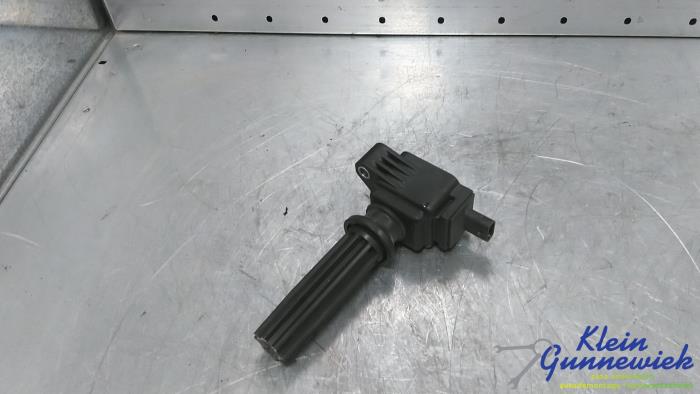 Usagé Bobine Ford Focus Prix € 20,00 Règlement à la marge proposé par Klein Gunnewiek Autodemontage & Motorentechniek