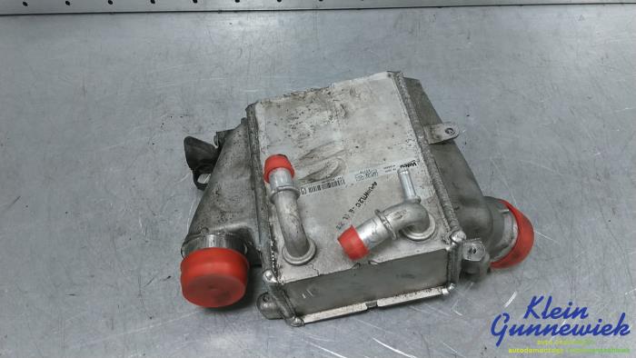 Usados Intercooler Ford Focus Precio € 27,00 Norma de margen ofrecido por Klein Gunnewiek Autodemontage & Motorentechniek
