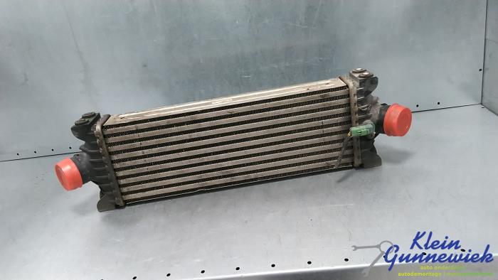 Usados Intercooler Ford Transit Custom Precio € 95,00 Norma de margen ofrecido por Klein Gunnewiek Autodemontage & Motorentechniek
