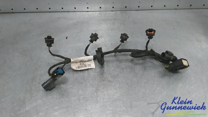 Fuel injector wires