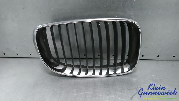Używane Grill BMW 1-Serie Cena € 18,00 Procedura marży oferowane przez Klein Gunnewiek Autodemontage & Motorentechniek