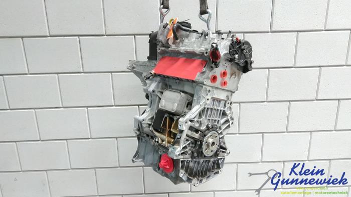 Usagé Moteur Volkswagen E-Golf Prix € 504,00 Règlement à la marge proposé par Klein Gunnewiek Autodemontage & Motorentechniek