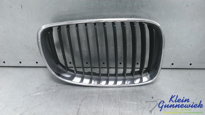Używane Grill BMW 1-Serie Cena € 18,00 Procedura marży oferowane przez Klein Gunnewiek Autodemontage & Motorentechniek