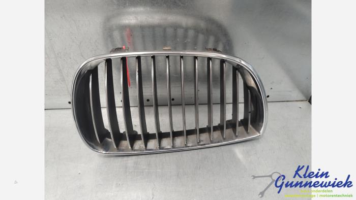 Używane Grill BMW 1-Serie Cena € 18,00 Procedura marży oferowane przez Klein Gunnewiek Autodemontage & Motorentechniek