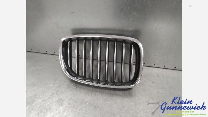 Begagnade Grill BMW 5-Serie Pris € 45,00 Marginaltabell erbjuds av Klein Gunnewiek Autodemontage & Motorentechniek