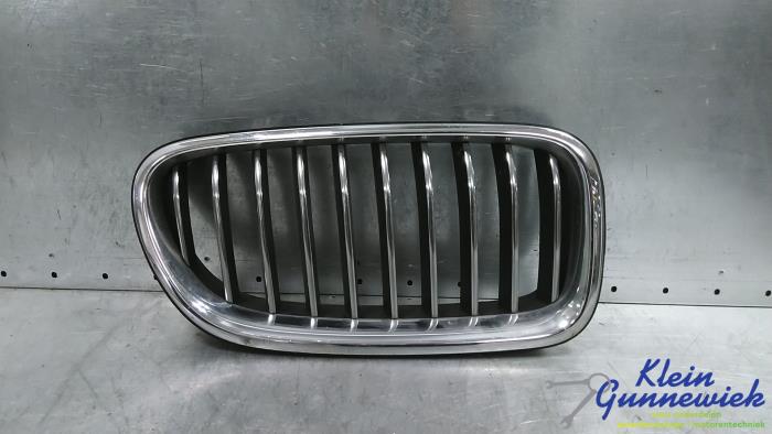 Begagnade Grill BMW 5-Serie Pris € 45,00 Marginaltabell erbjuds av Klein Gunnewiek Autodemontage & Motorentechniek
