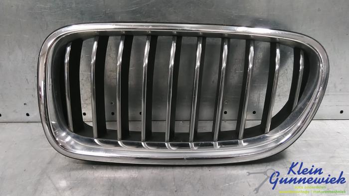 Begagnade Grill BMW 5-Serie Pris € 45,00 Marginaltabell erbjuds av Klein Gunnewiek Autodemontage & Motorentechniek