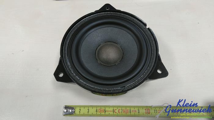 Rear door speaker