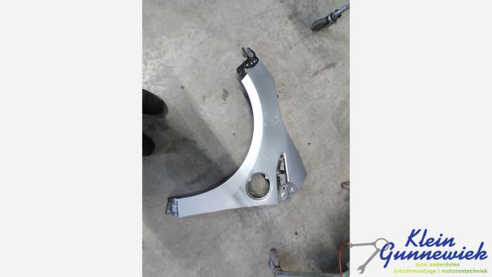 Używane Ekran lewy przód Opel Ampera Cena € 145,00 Procedura marży oferowane przez Klein Gunnewiek Autodemontage & Motorentechniek