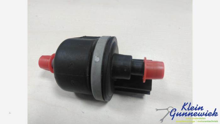 Vacuum valve