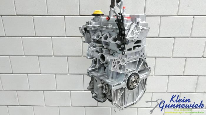 Overhauled Engine Renault Clio Price € 2.964,50 Inclusive VAT offered by Klein Gunnewiek Autodemontage & Motorentechniek